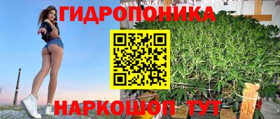 mdma Можга