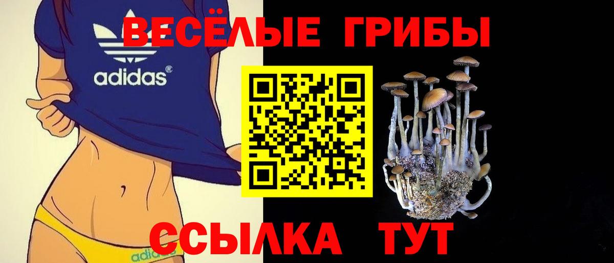 Псилоцибиновые грибы Magic Shrooms  Псилоцибиновые грибы Psilocybine cubensis  Пятигорск  Вход с VPN 